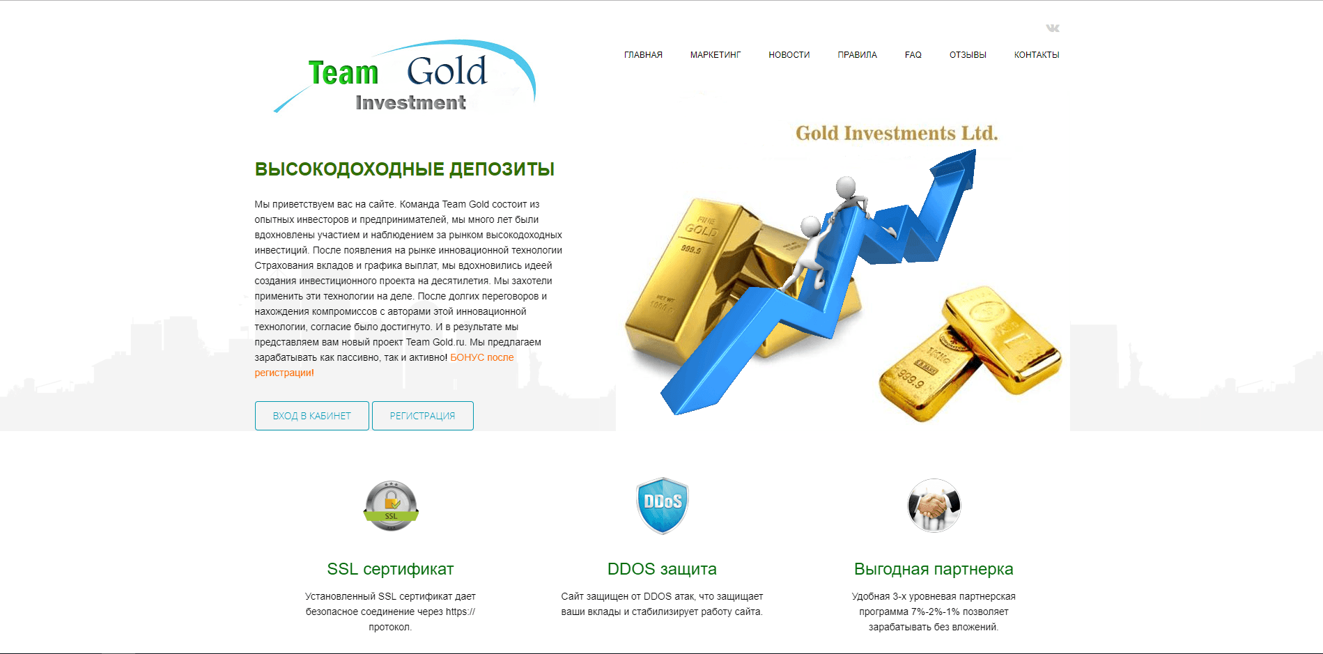 Team Gold - лохотрон