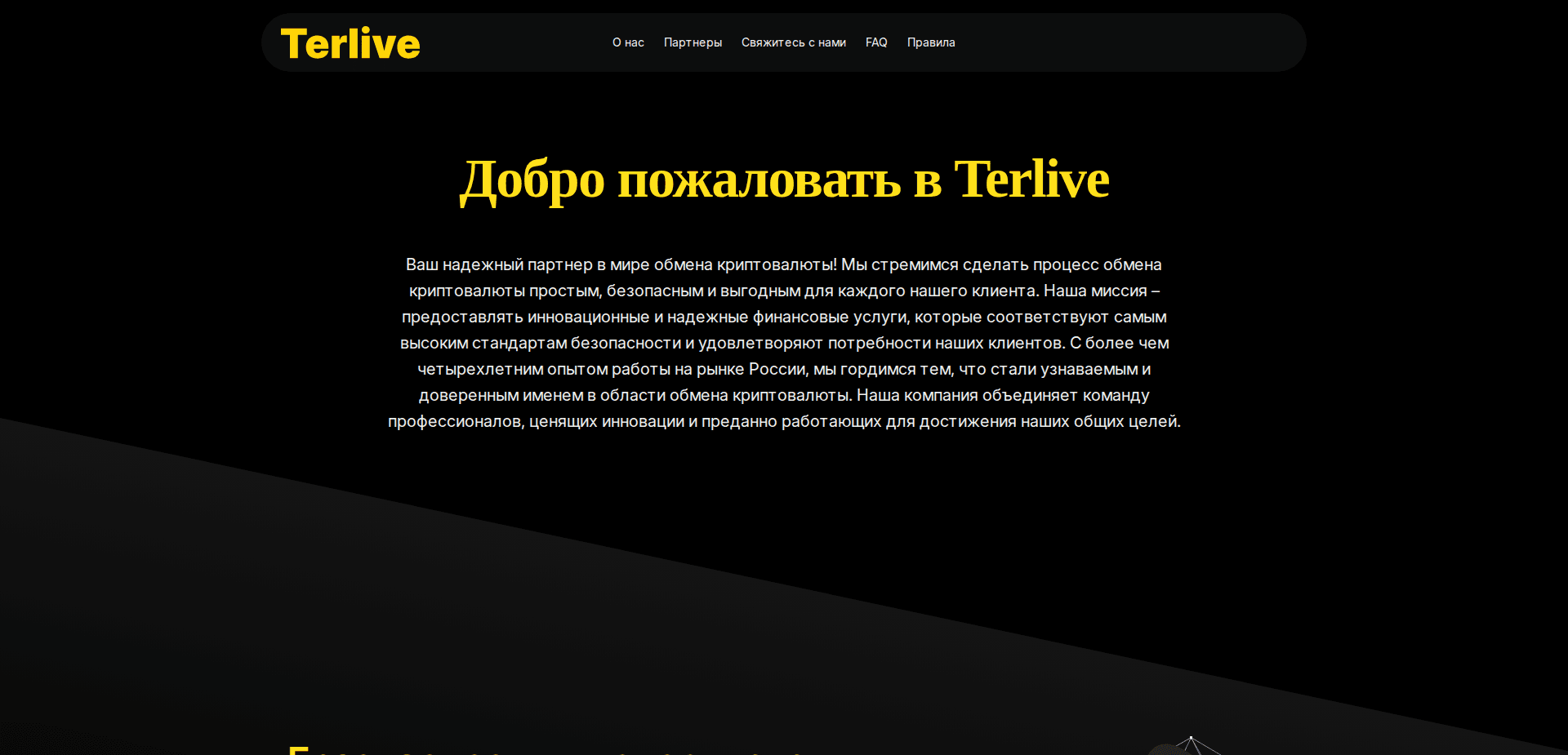 Website screenshot for https://terlive.com/ - 2