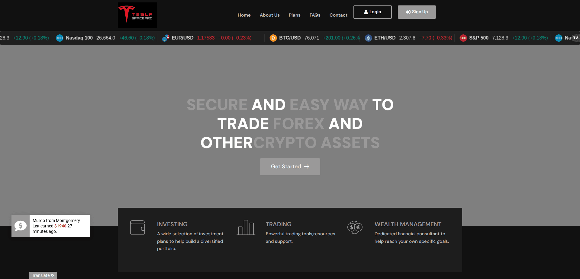 Website screenshot for https://teslaspacepro.com/ - 1