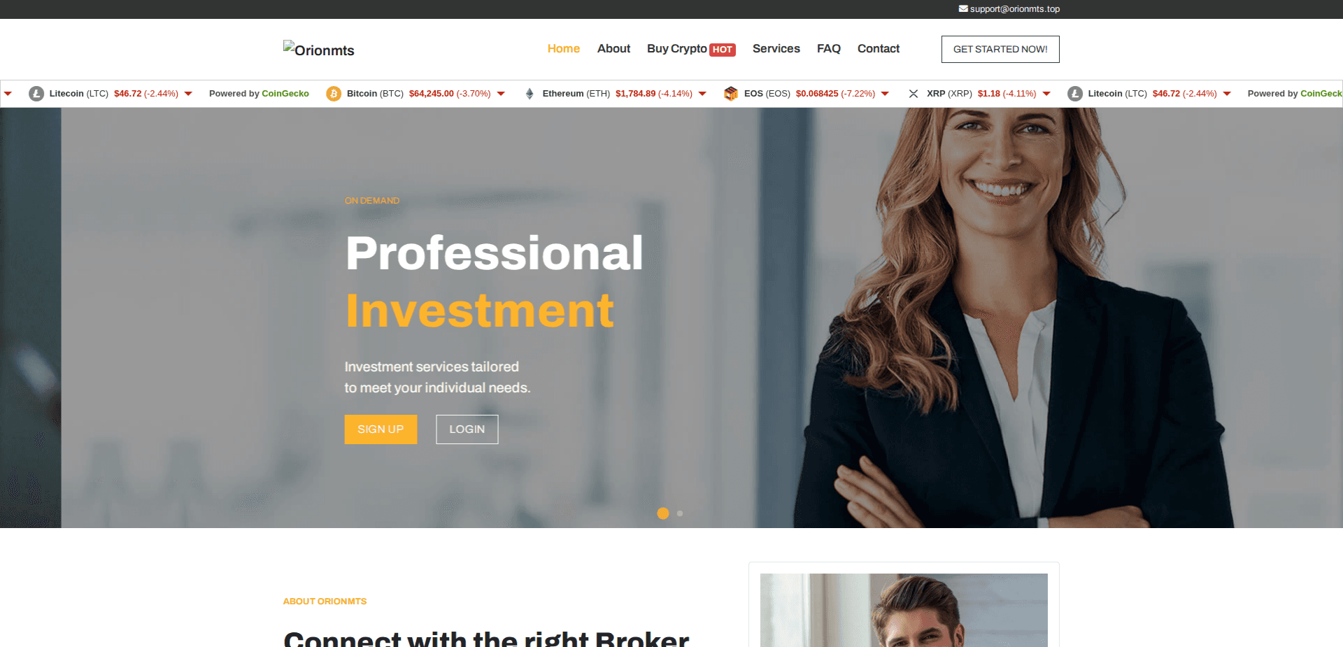 Website screenshot for https://orionmts.top/ - 1