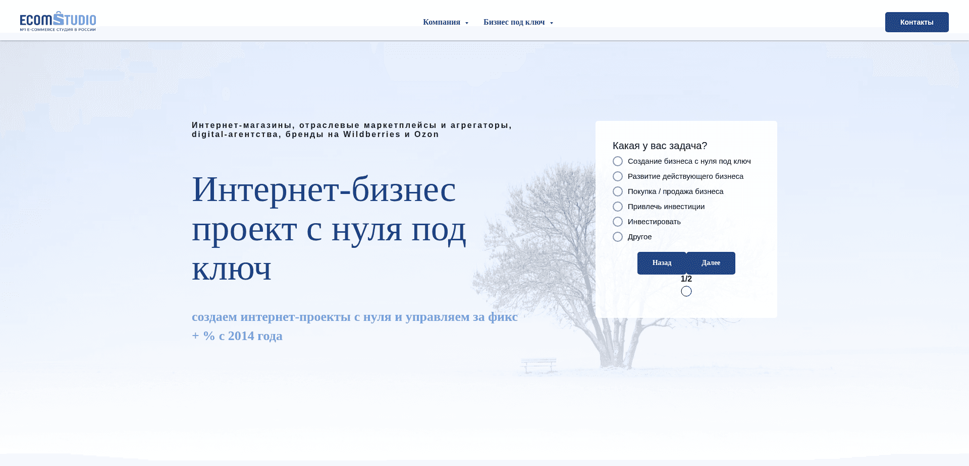 Screenshot for ecomstudio.ru - 0