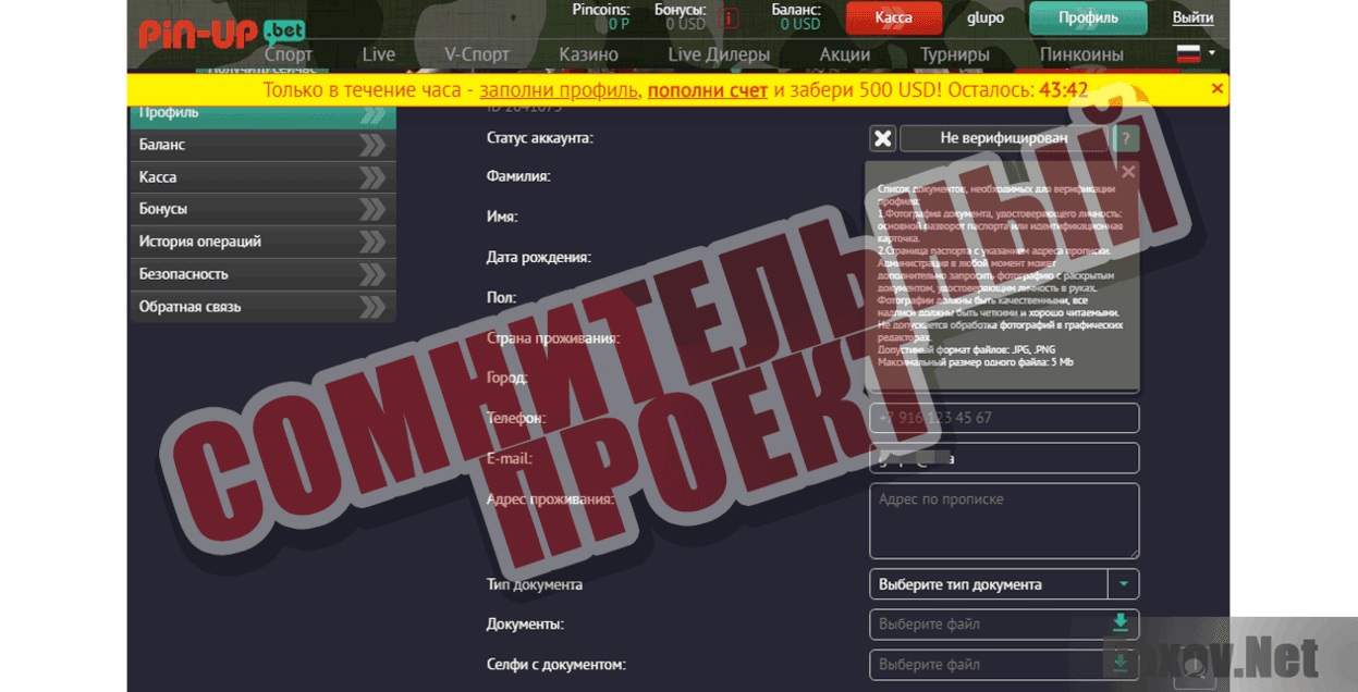 Pin-Up Сомнительный проект