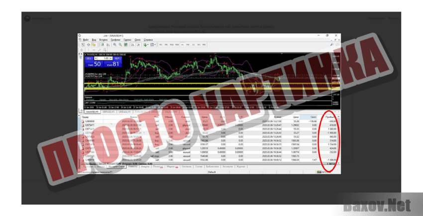 Trading Cartel Просто картинка