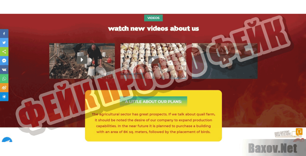 Corporio Фейк Просто фейк