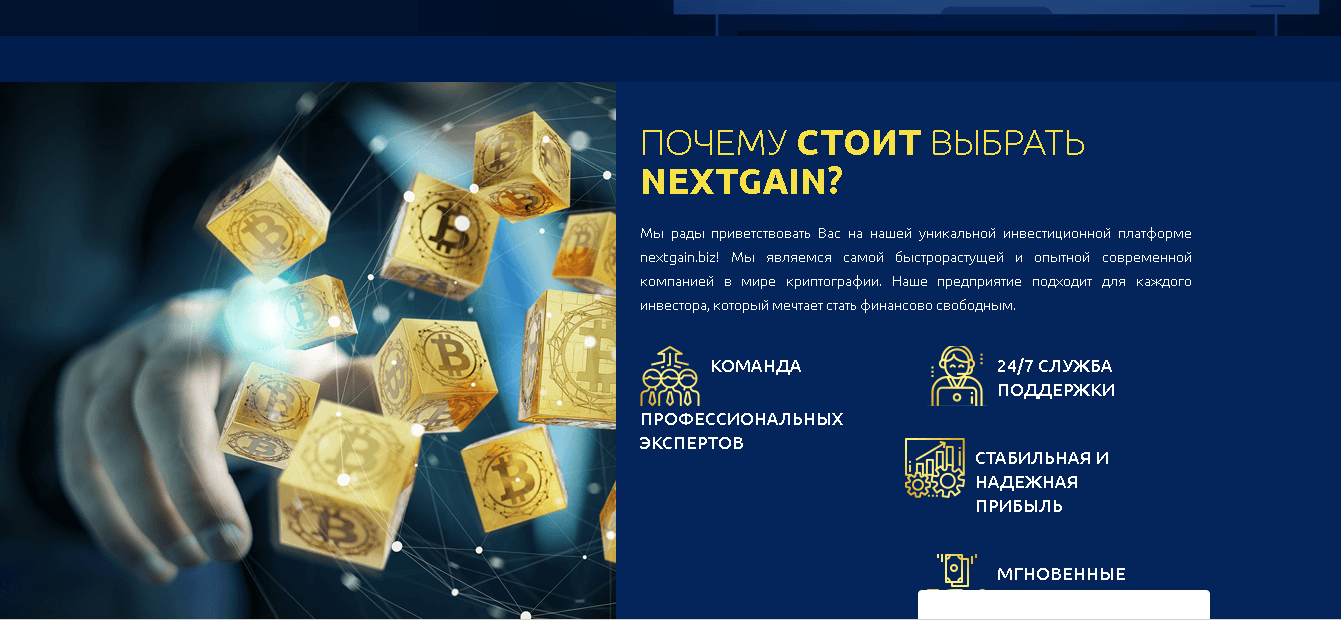 NextGain - Лохотрон
