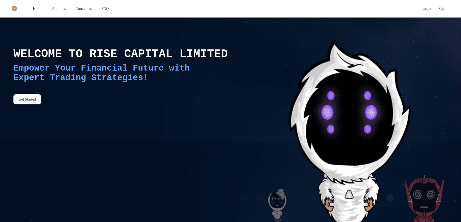 Screenshot for risecapital.store - 1