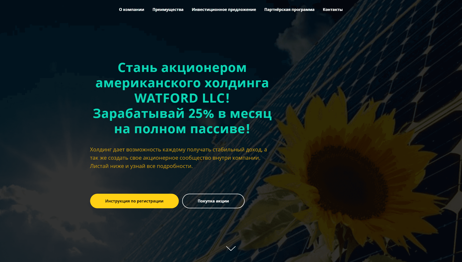 Стать акционером холдинга watford llc - вся подробная информация о проекте