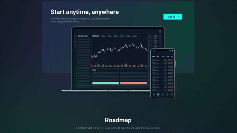 Rexub - дорожная карта