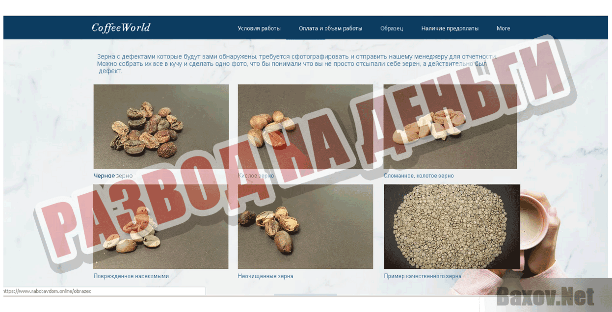 Coffee World Развод на деньги