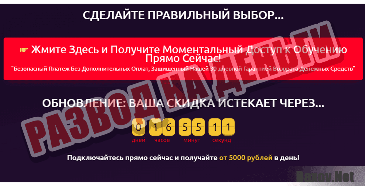 procto-dengi.ru Развод на деньги