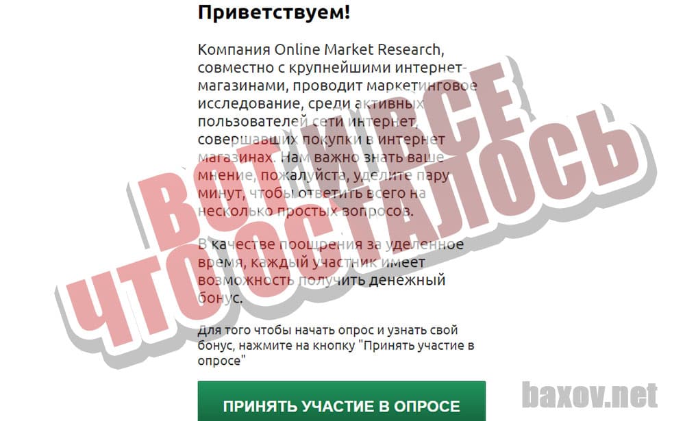 Online Market Research разводит быстро