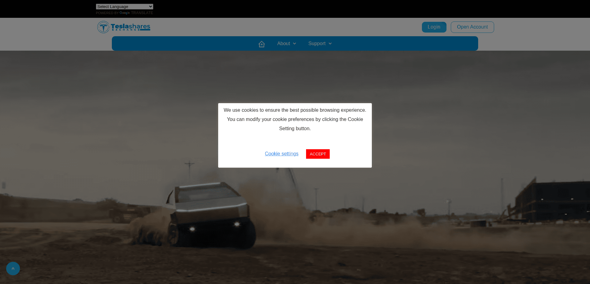 Screenshot for teesla.site - 0