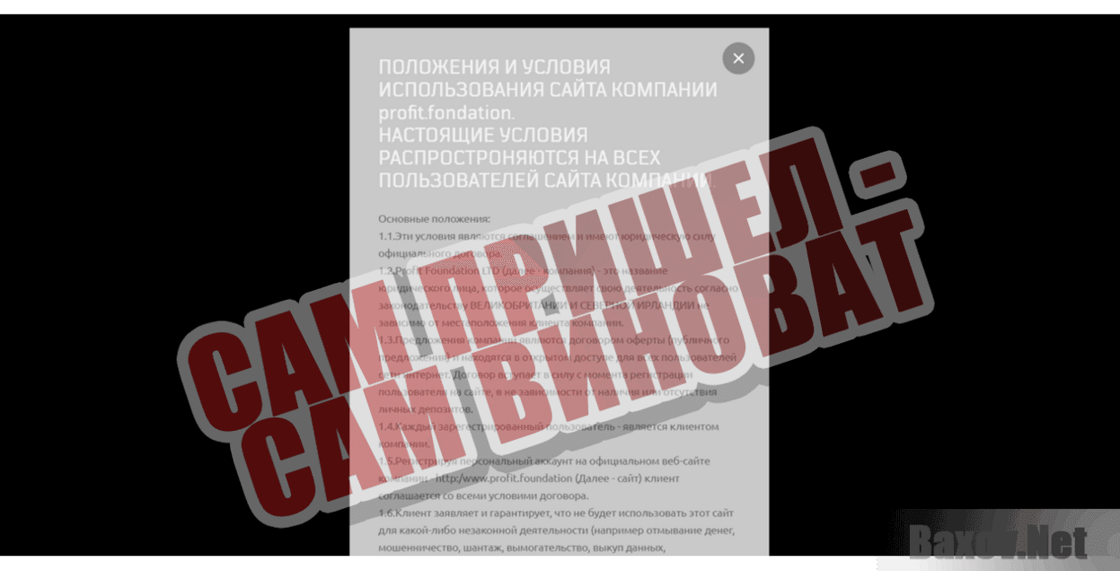 Profit Foundation Сам пришел - сам виноват