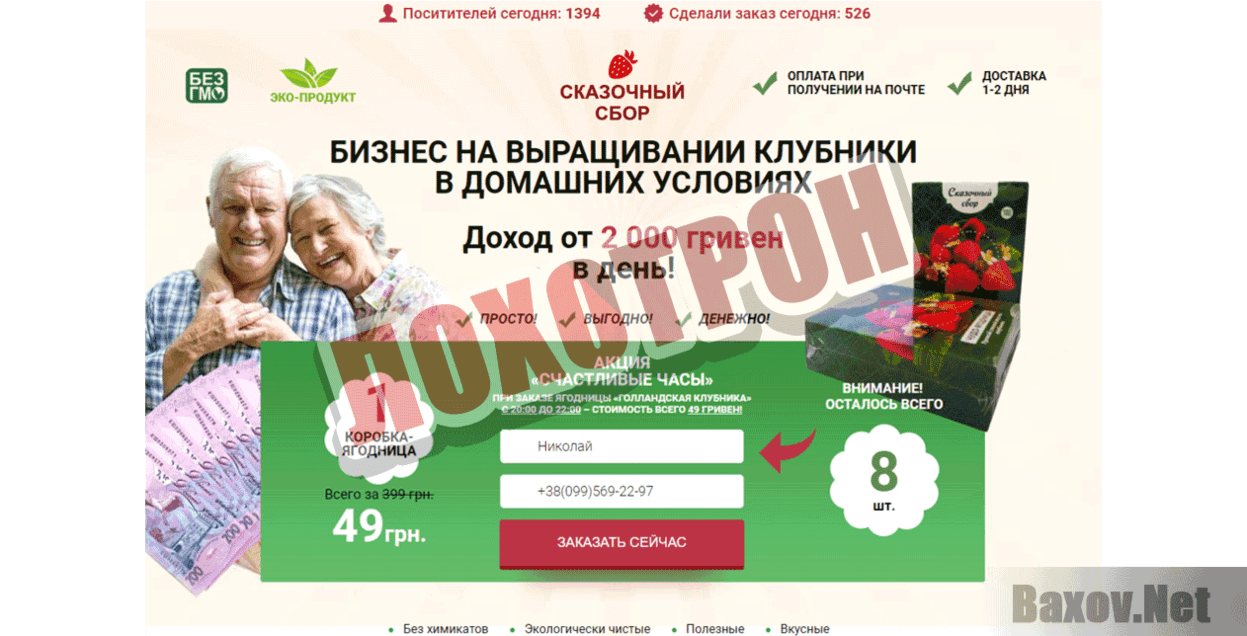 Бизнес на выращивании клубники Лохотрон