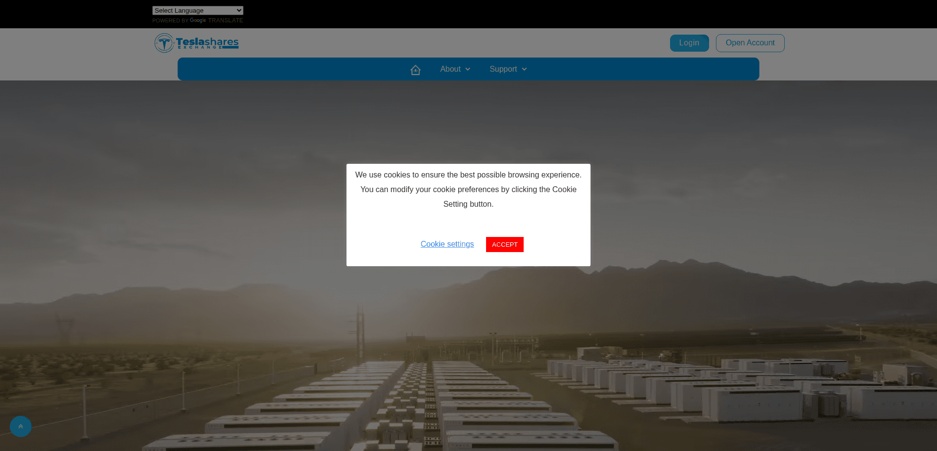 Screenshot for teesla.site - 3