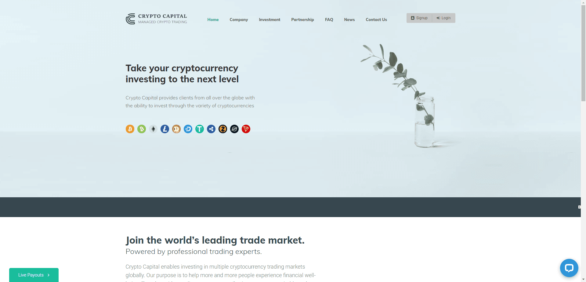 Crypto Capital отзывы и обзор. Развод, лохотрон или правда. Только честные и правдивые отзывы на Baxov.Net