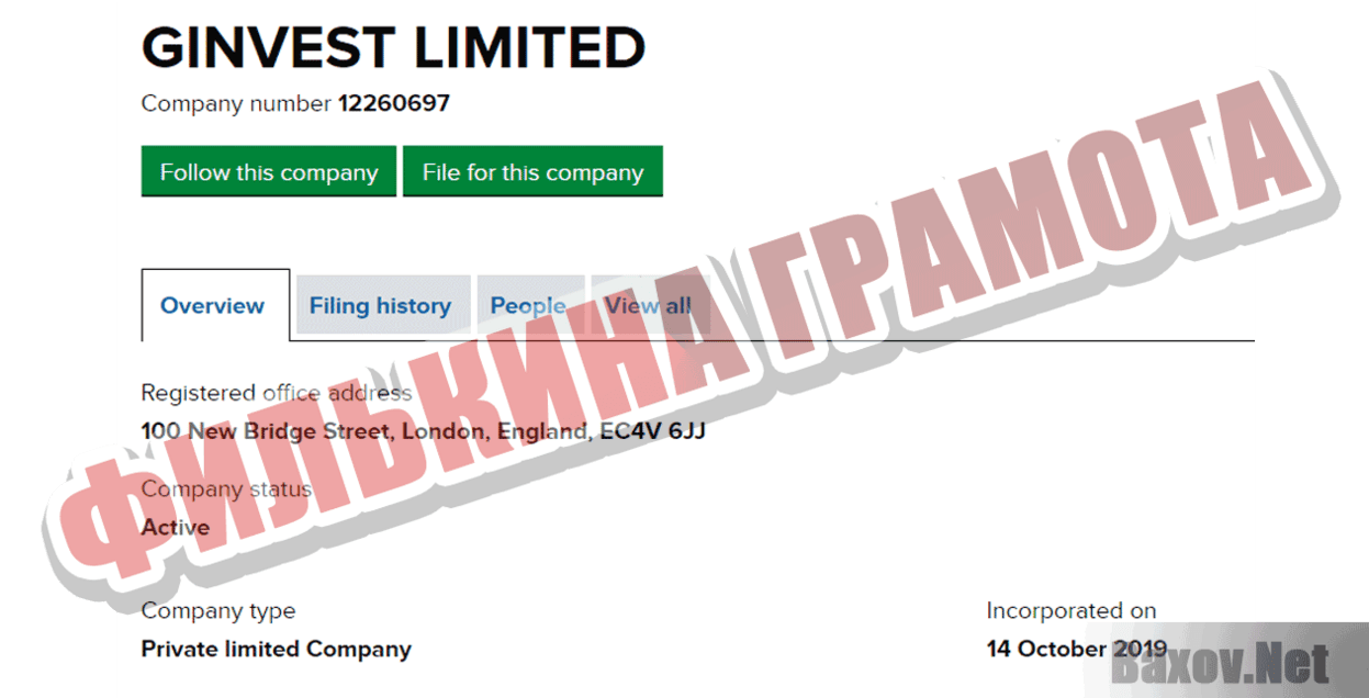 GINVEST LIMITED Филькина грамота
