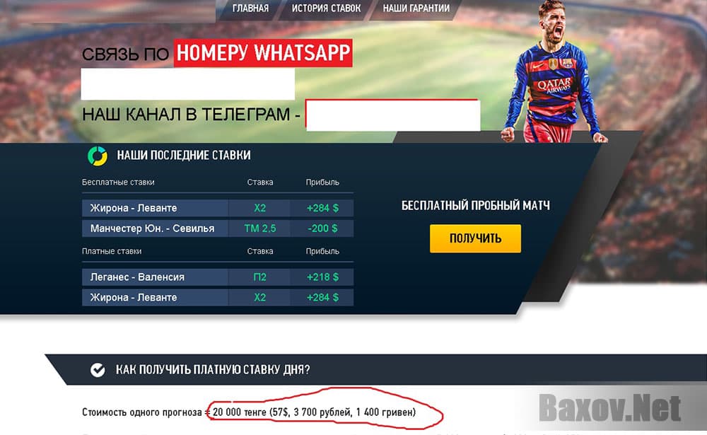 BIG BIT FARM любит картинки