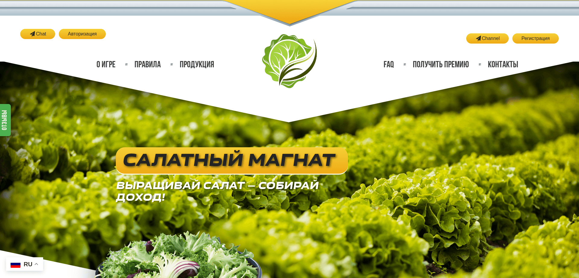 Screenshot for salmag.org - 0