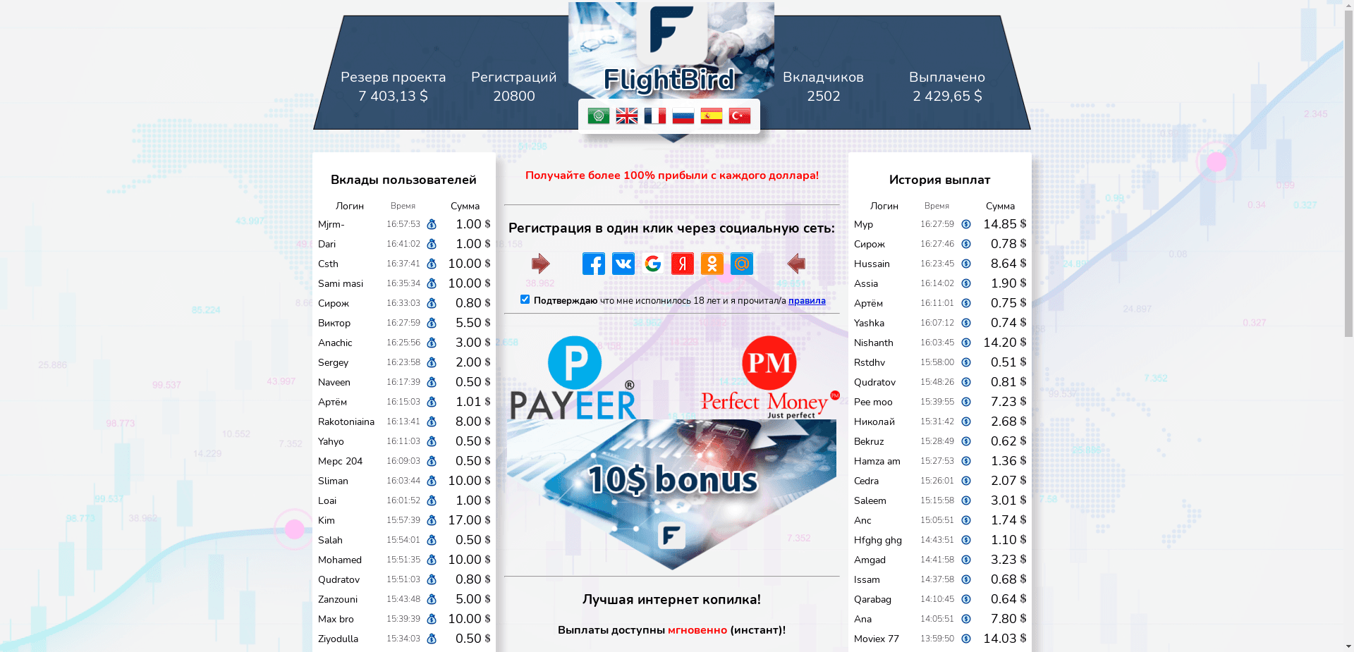 Интернет Копилка Flight Bird отзывы и обзор. Развод, лохотрон или правда. Только честные и правдивые отзывы на Baxov.Net