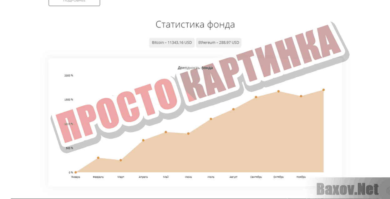 CoinSolution Fund Просто картинка