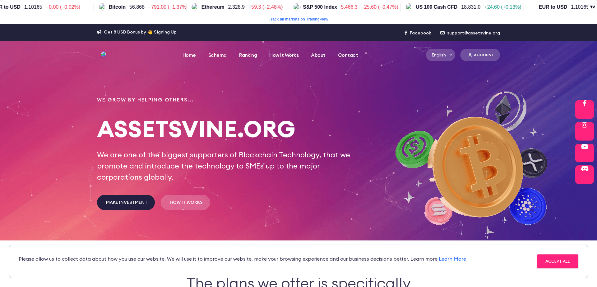 Assetsvine отзывы и обзор. Развод, лохотрон или правда. Только честные и правдивые отзывы.