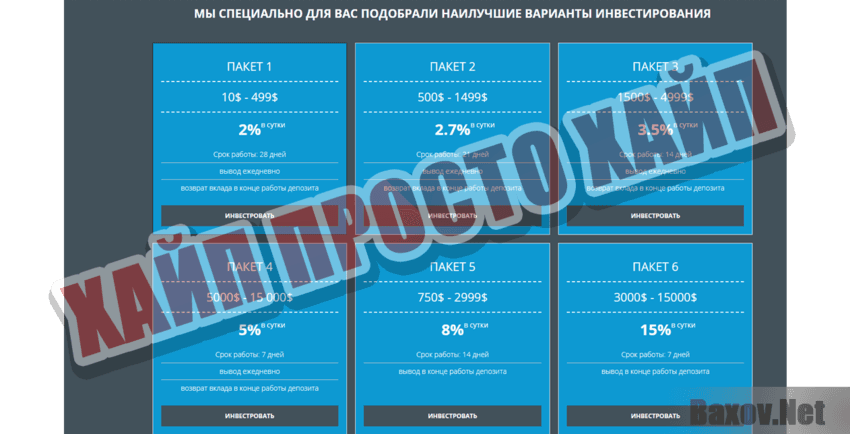 INSIGNIA GROUP Хайп Просто хайп