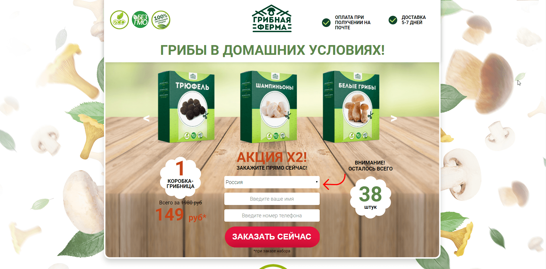 Грибная ферма - лохотрон