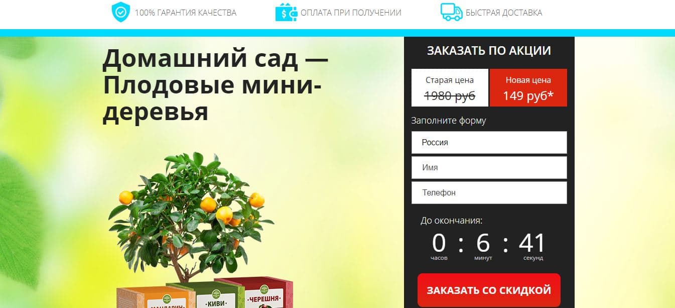 Мини-деревья от мошенников