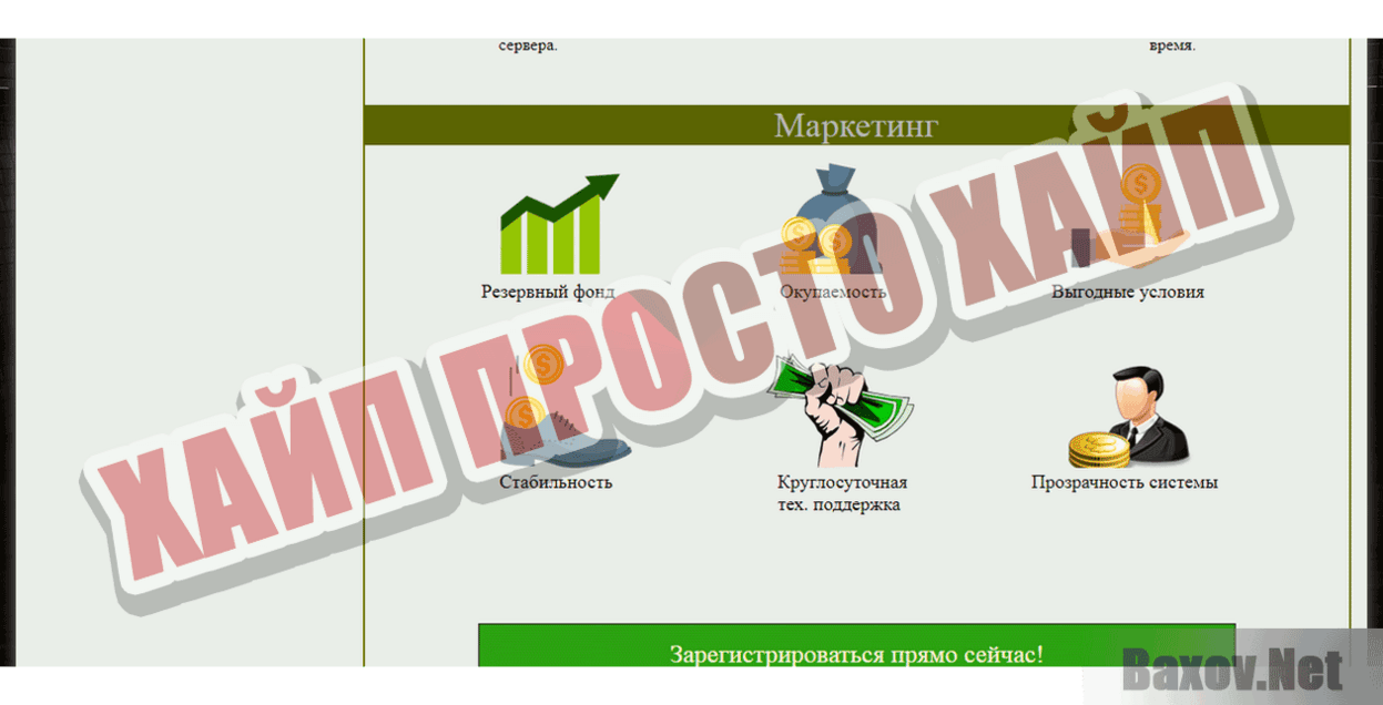 TEENAGE MUTANT NINDJA Хайп Просто хайп