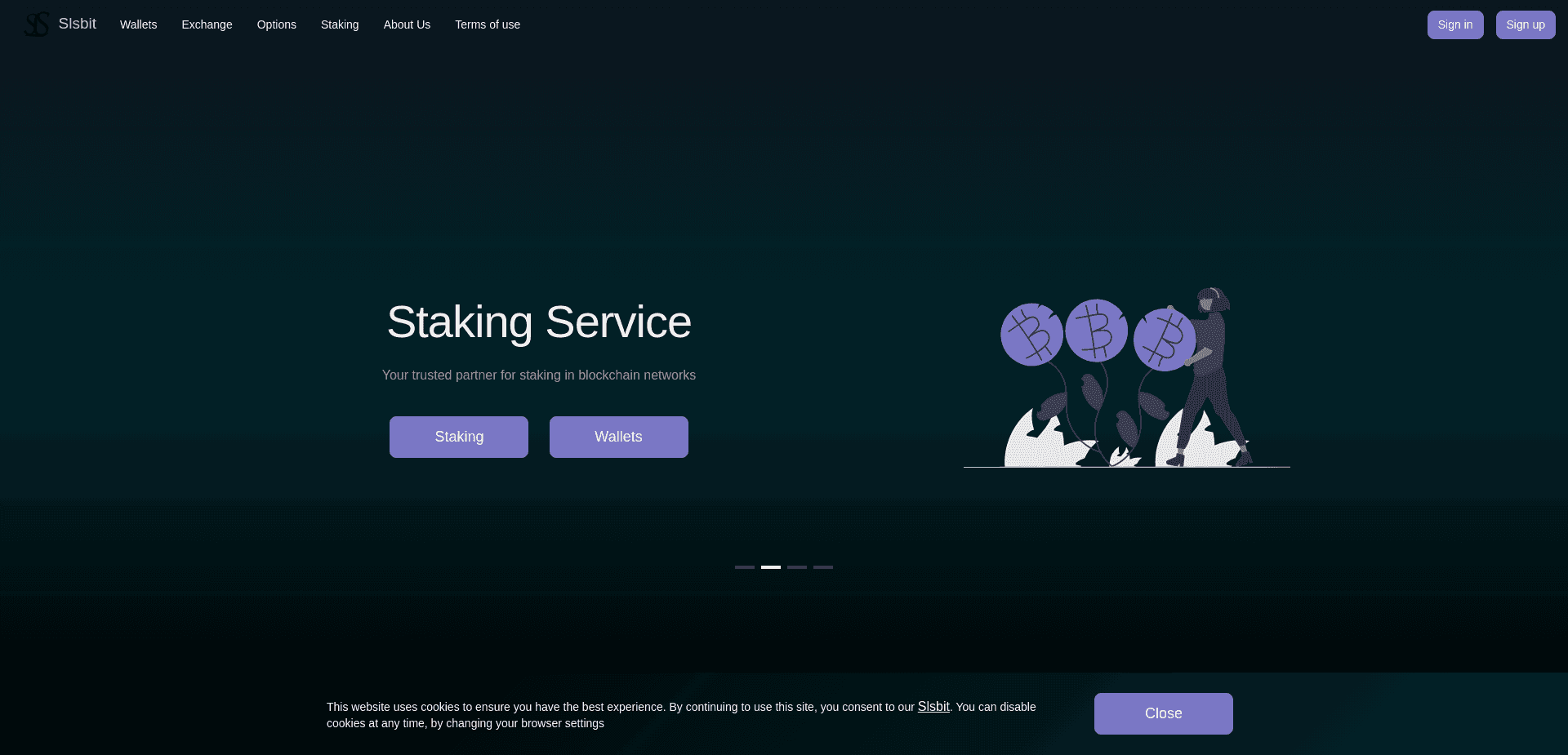 Screenshot for slsbit.com - 3