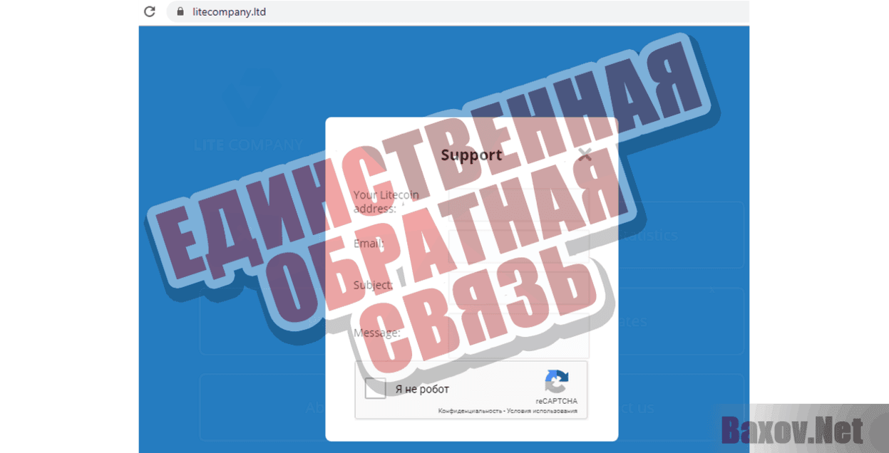 LITE COMPANY Единственная обратная связь