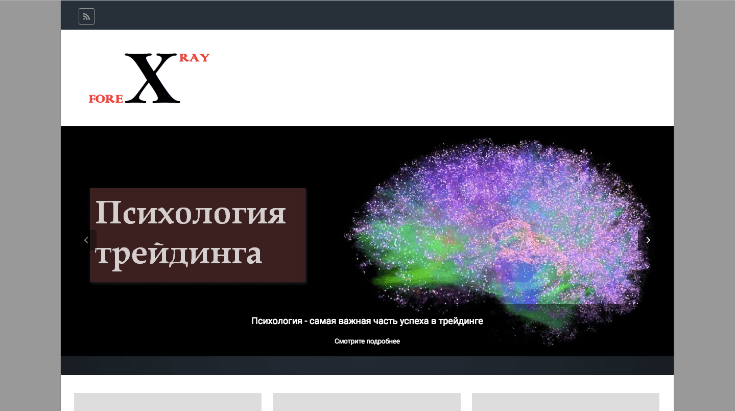 ForexRay - Лохотрон 