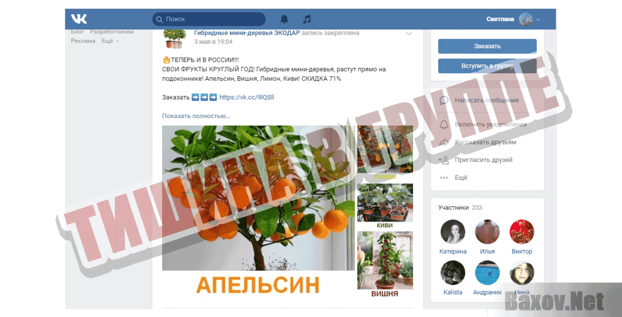 Гибридные мини-деревья ЭКОДАР Тишина в группе