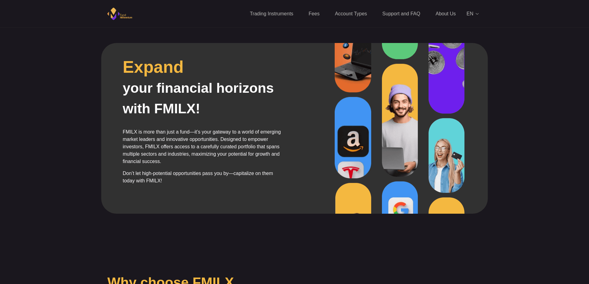 Screenshot for new-millennium-fund.net - 2