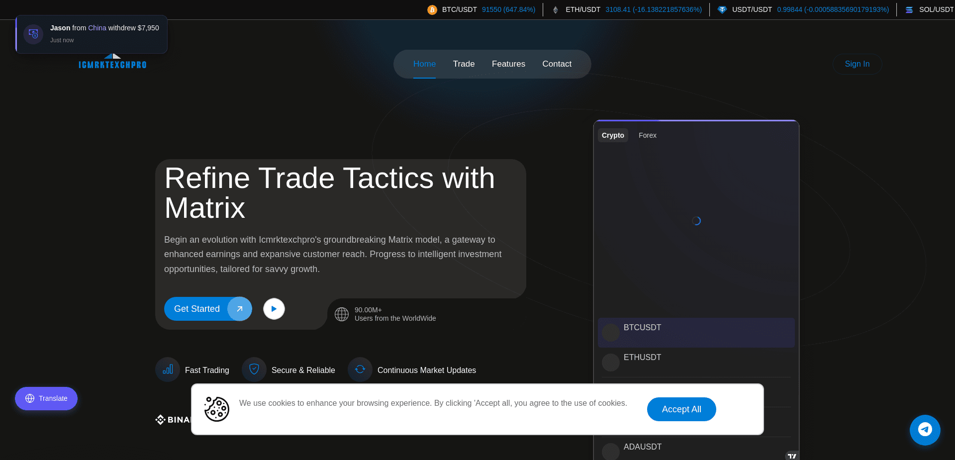 Screenshot for icmrktexchpro.live - 2