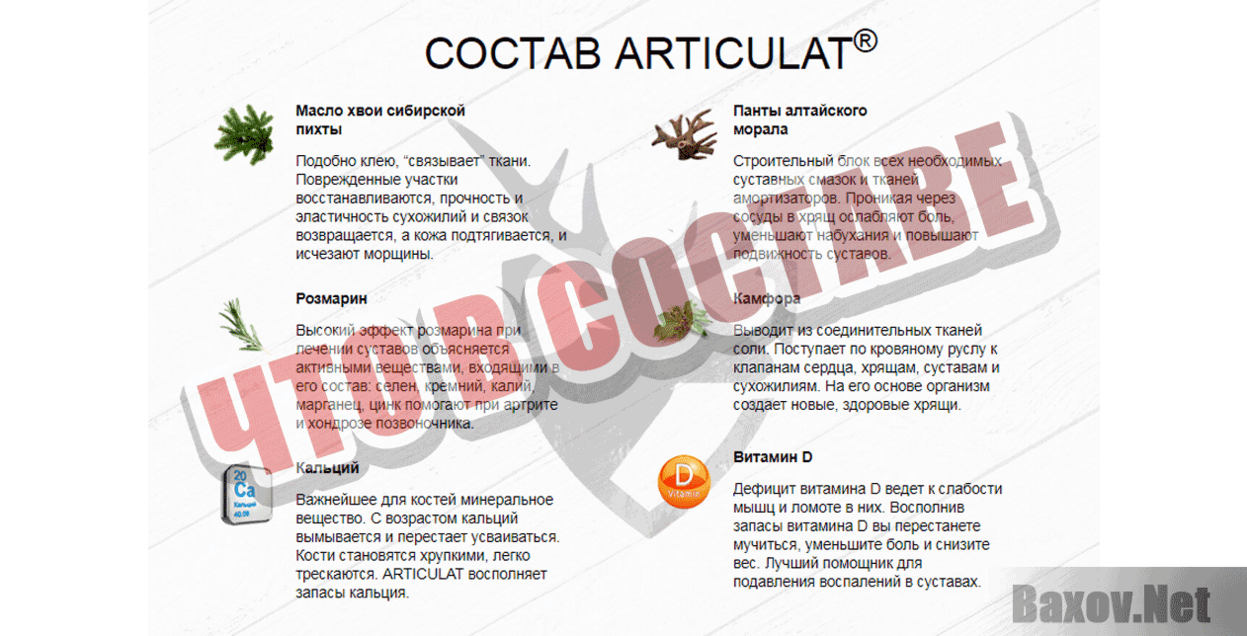 ARTICULATЧто в составе