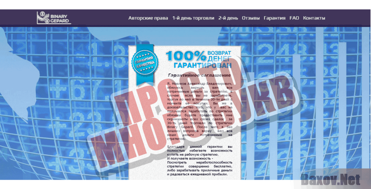 Binary Gepard Просто много букв