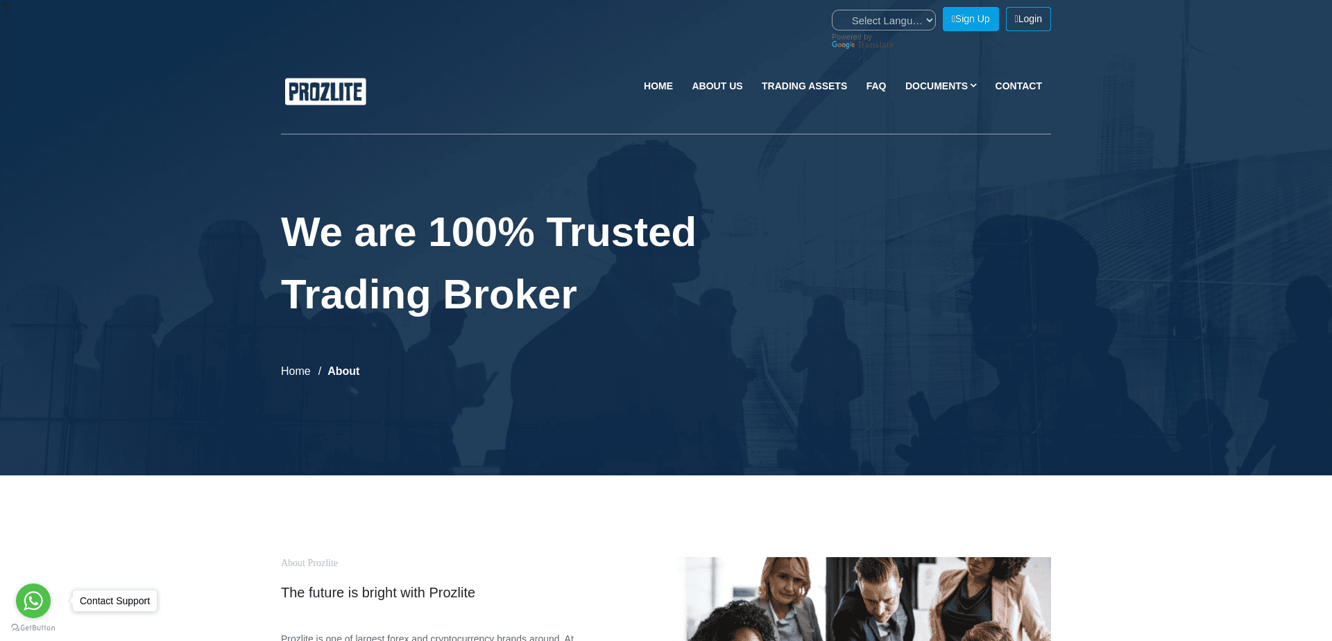 Screenshot for prozlite.com - 1