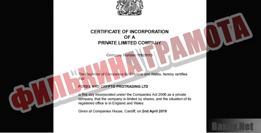 FXCompany Филькина грамота