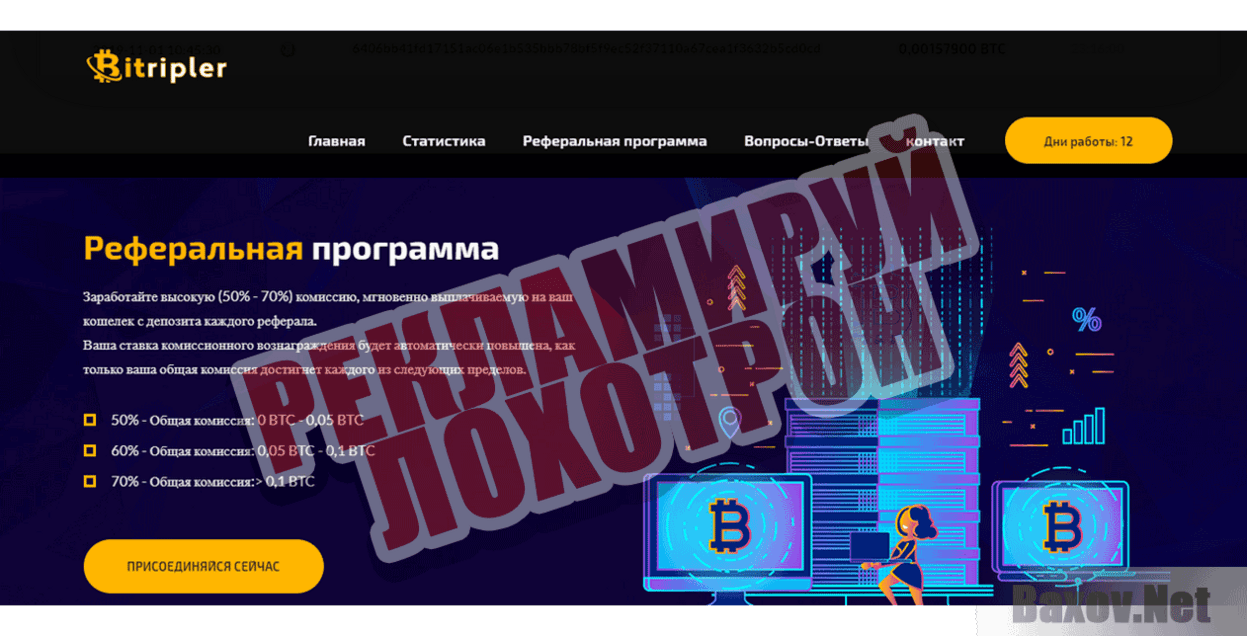 Bitripler  Рекламируй лохотрон