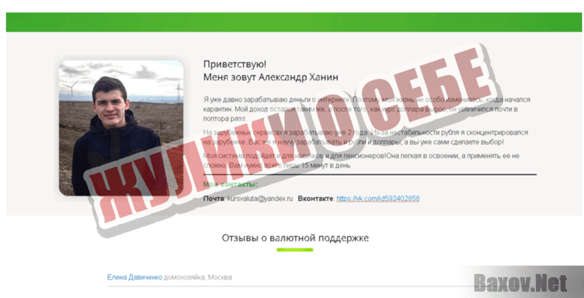 Валютная поддержка Жулики о себе