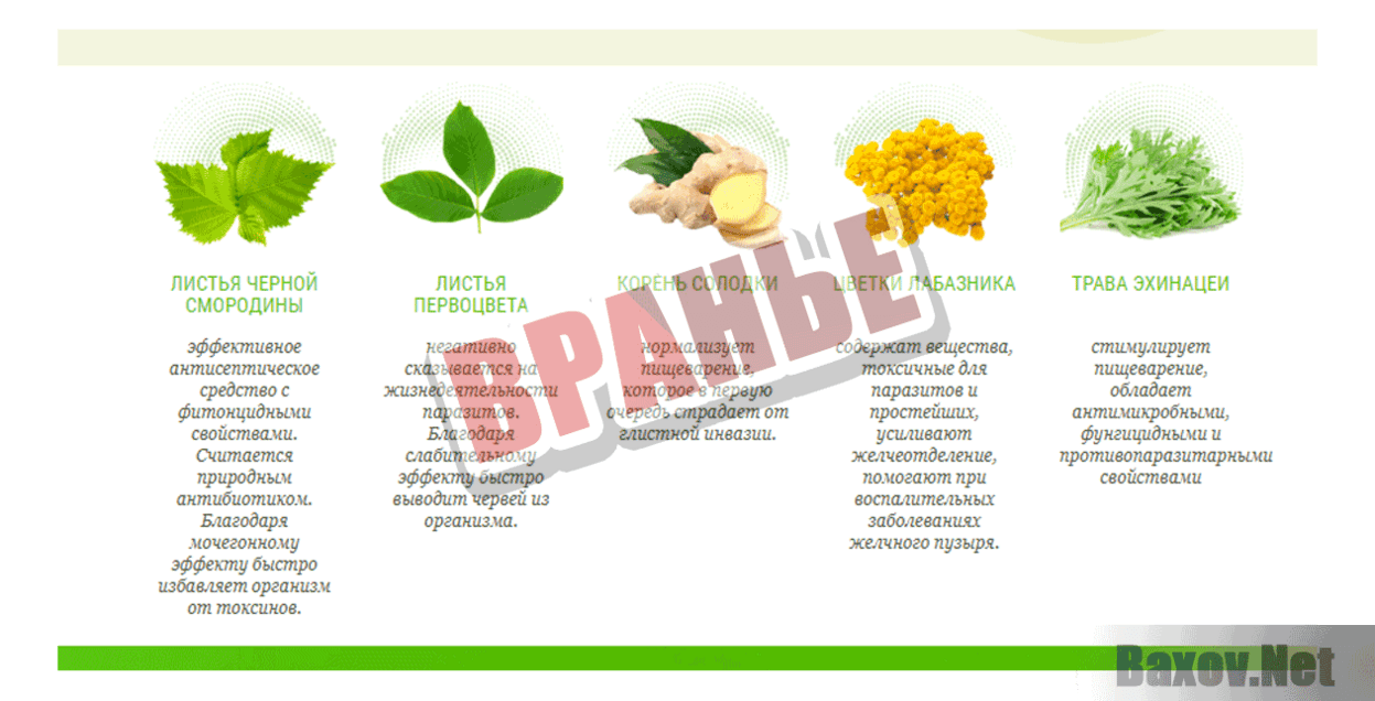 Bactefort  Вранье