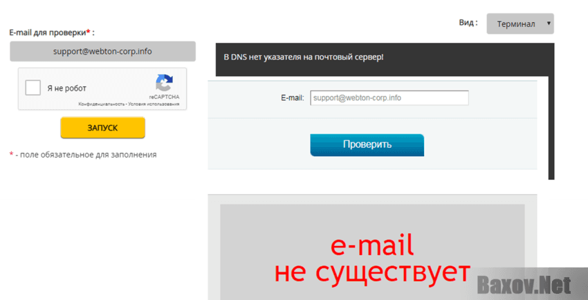 Free TON Фальшивый адрес