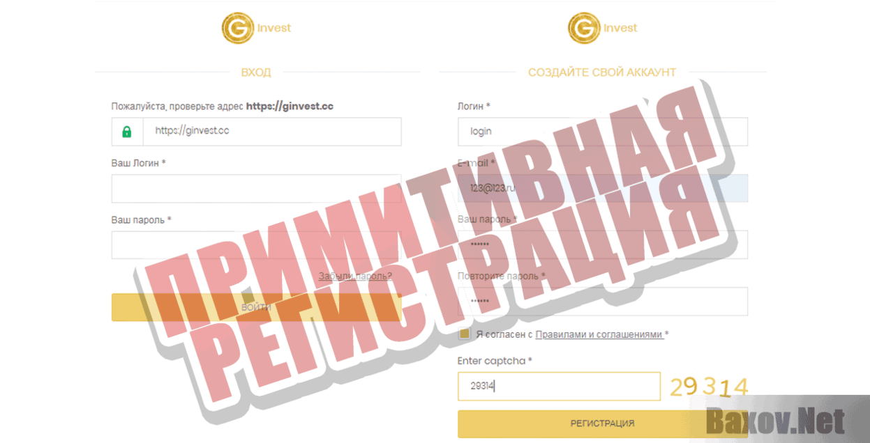 GINVEST LIMITED Примитивная регистрация