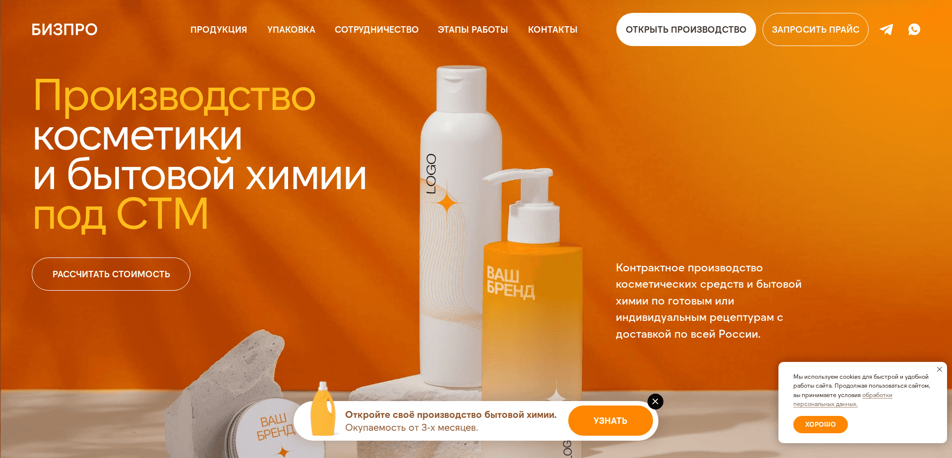 Screenshot for bizpro.expert - 1