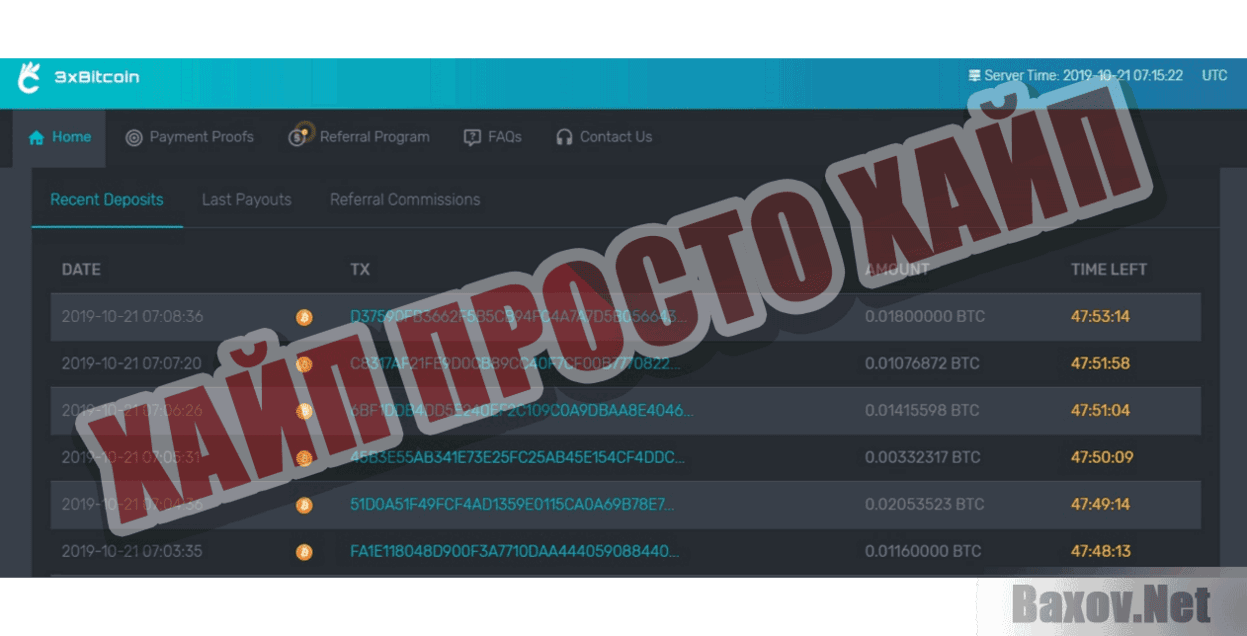 3xBitcoin Хайп Просто хайп