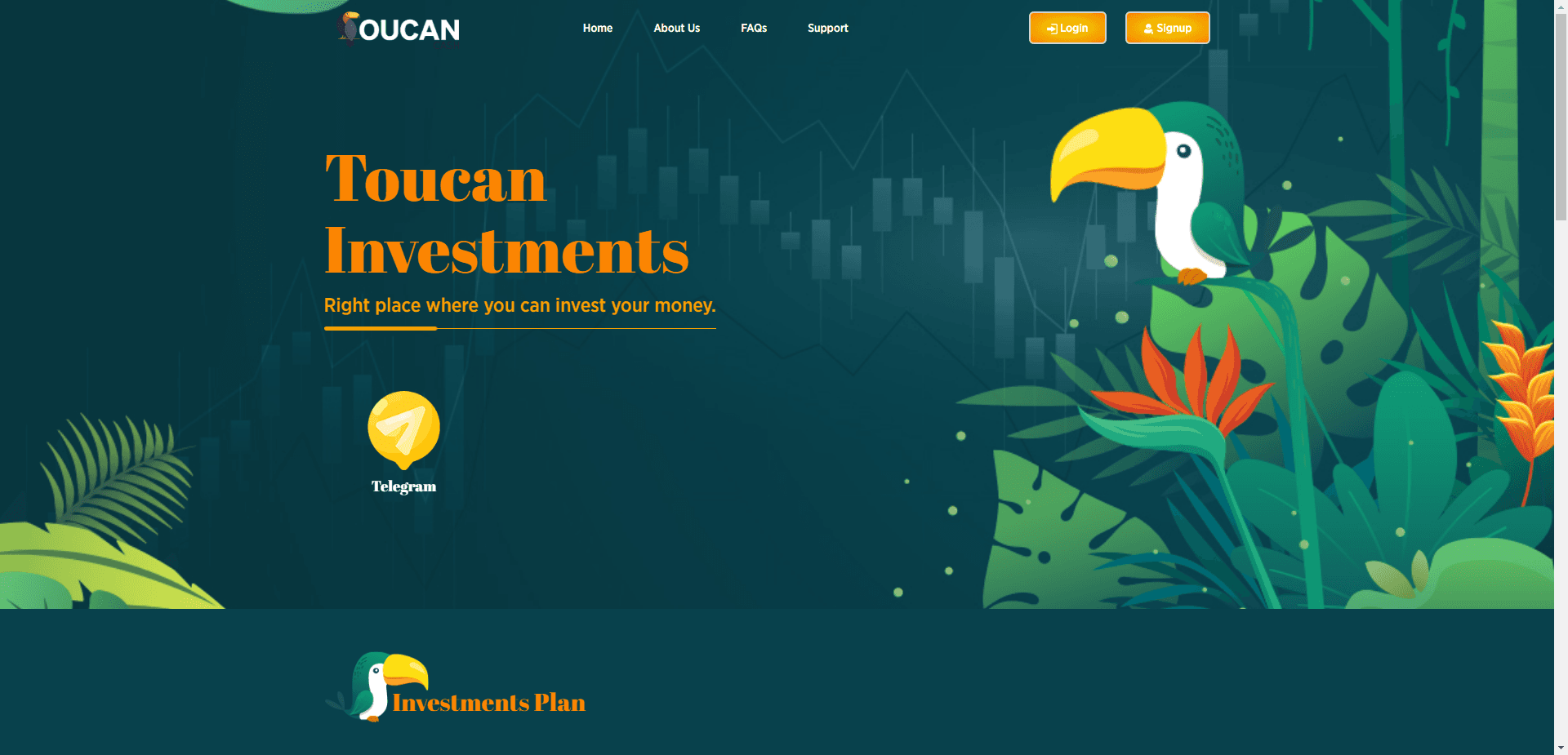 Toucan Investments отзывы и обзор. Развод, лохотрон или правда. Только честные и правдивые отзывы на Baxov.Net