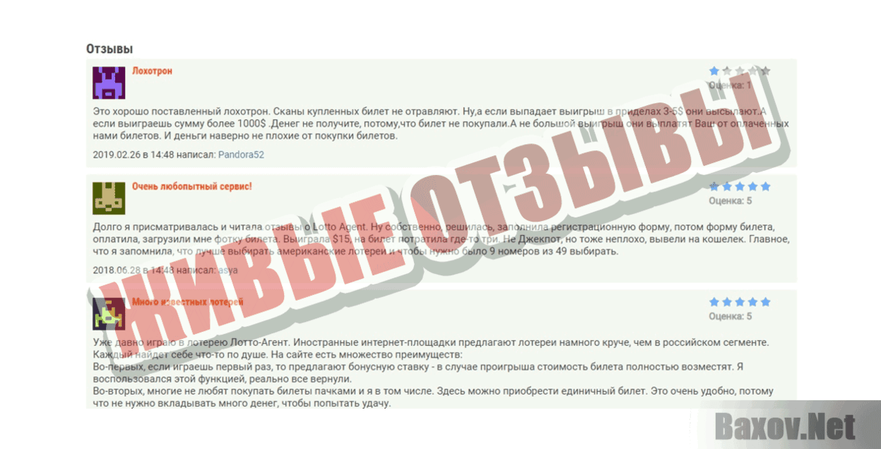 Lotto Agent Живые отзывы