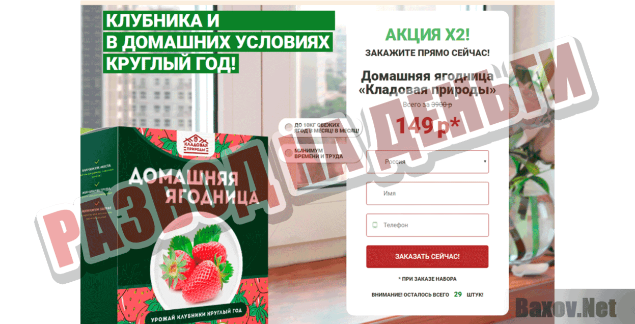 Бизнес на выращивании клубники Развод на деньги